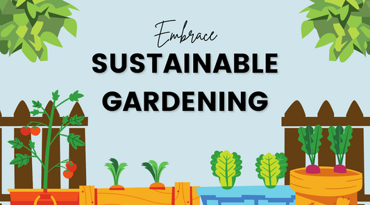 Embrace Sustainable Gardening: Designing with Rainwater Harvesting